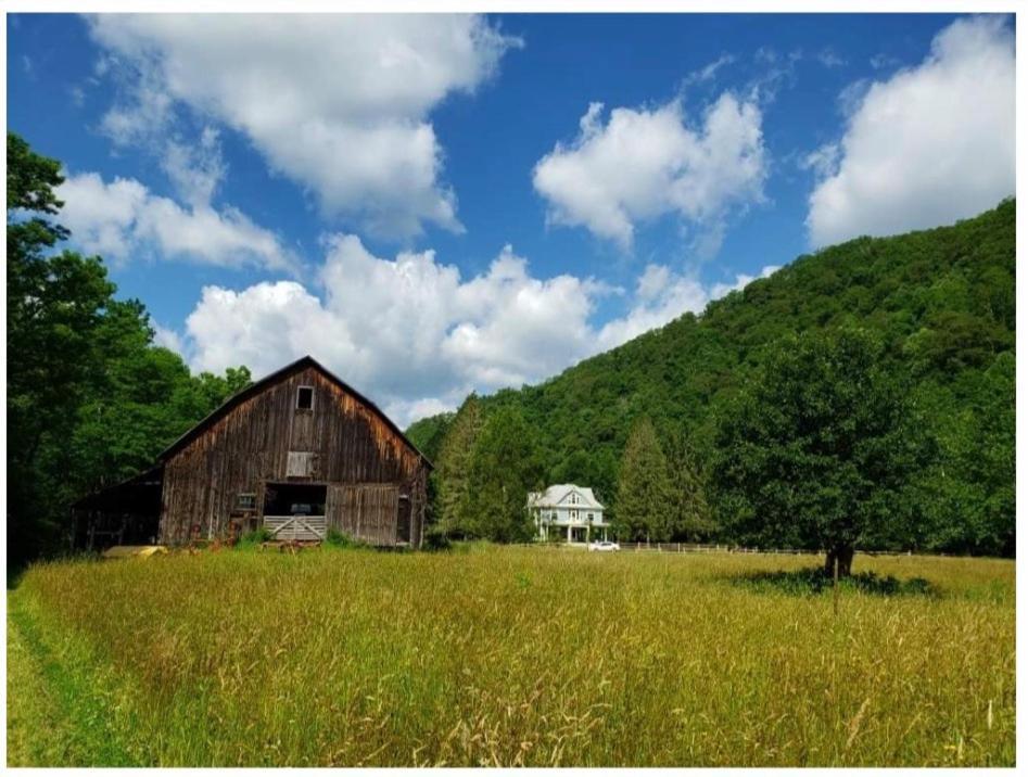 Laurel River Club Bed & Breakfast Or Lrcbnb Dryfork Bagian luar foto